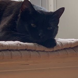 Meet your Posher, Tia